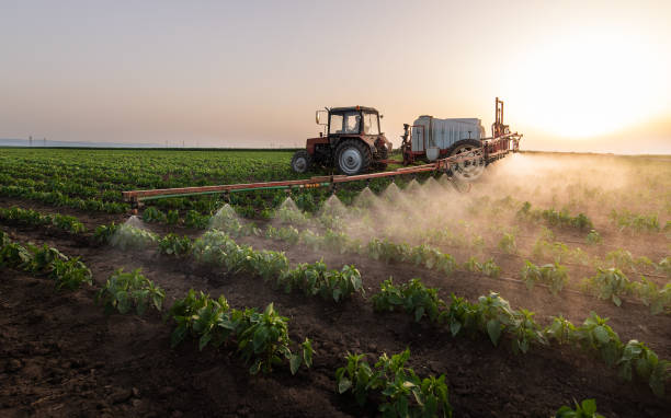Best Mosquito Control Services  in Oglethorpe, GA