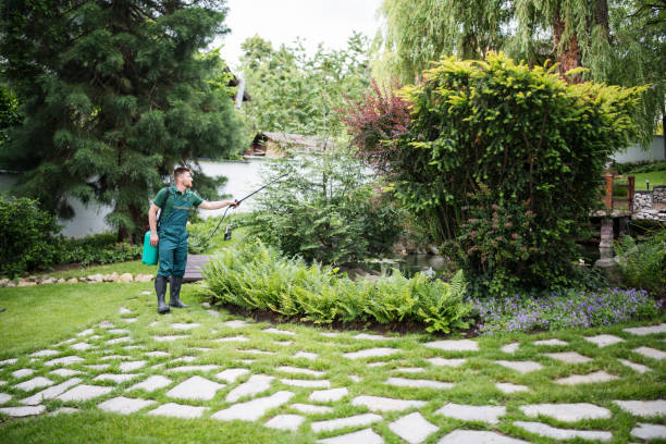 Best Pest Inspection Near Me  in Oglethorpe, GA