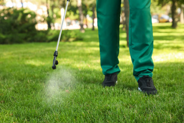 Best Bed Bug Extermination  in Oglethorpe, GA