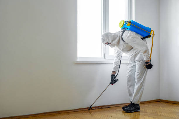 Best Pest Prevention Services  in Oglethorpe, GA