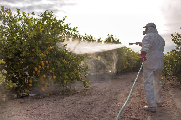 Best Ant Control Services  in Oglethorpe, GA
