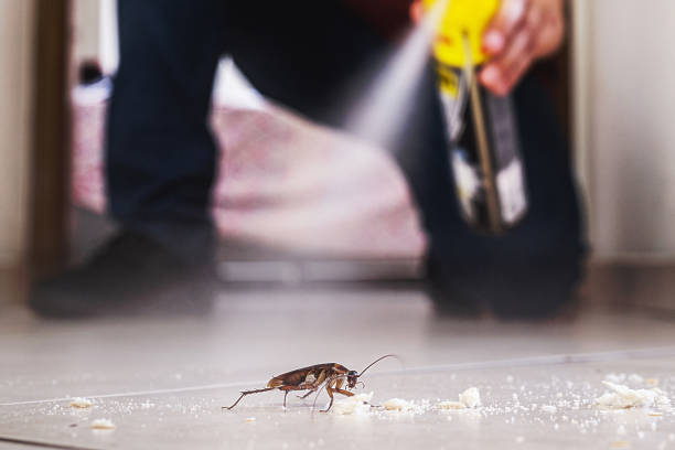 Reliable Oglethorpe, GA Pest Control Solutions