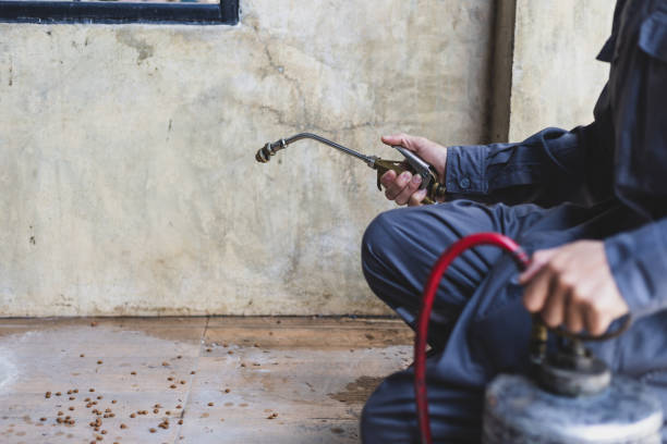 Best Best Pest Control Companies  in Oglethorpe, GA